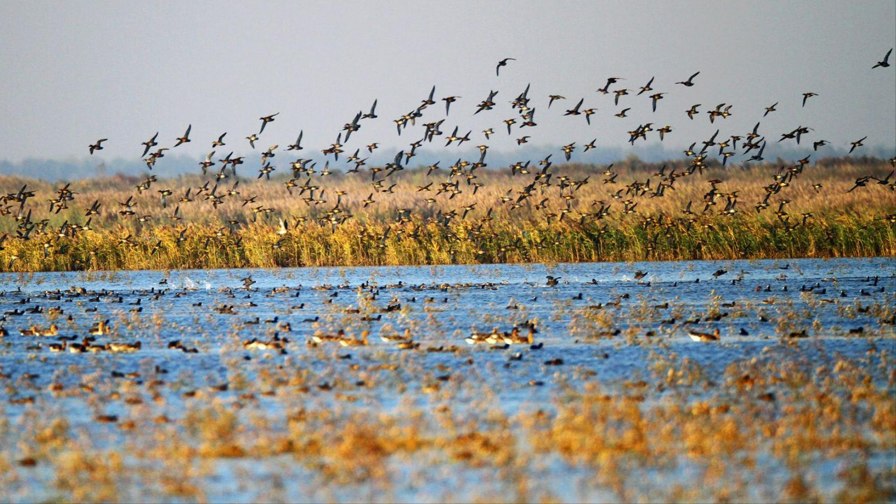 盐城千亿级县区,盐城一座打开心扉的城市图片
