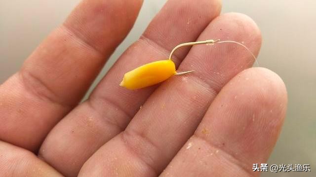 邓刚钓翘嘴鱼视频完整版,邓刚钓翘嘴鱼的方法及技巧