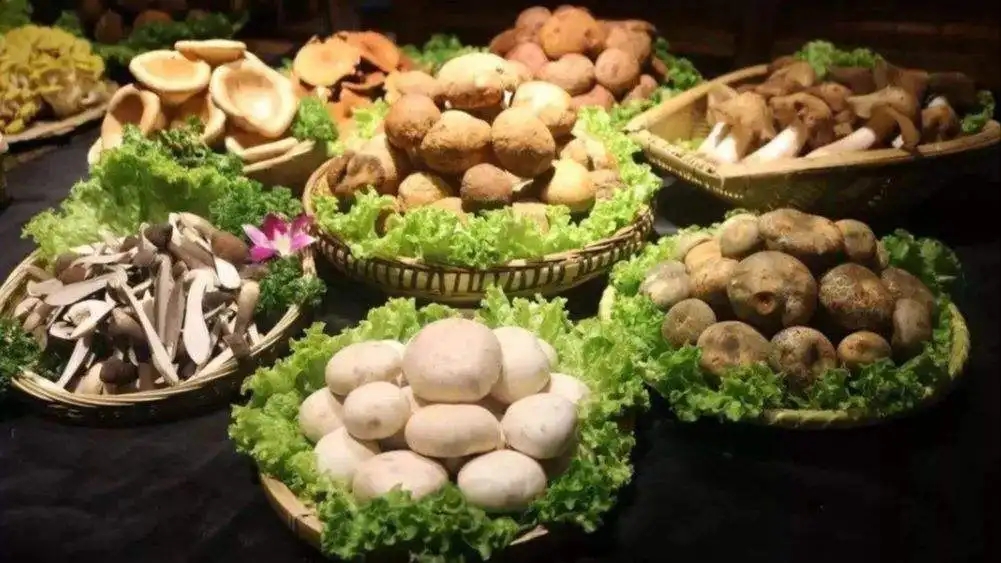 云南旅游攻略昆明景点有哪些,云南昆明旅游攻略自由行路线