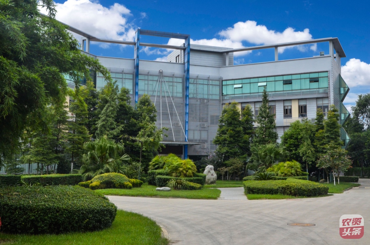 国光股份：国内植调剂领航者，向百年奋战！