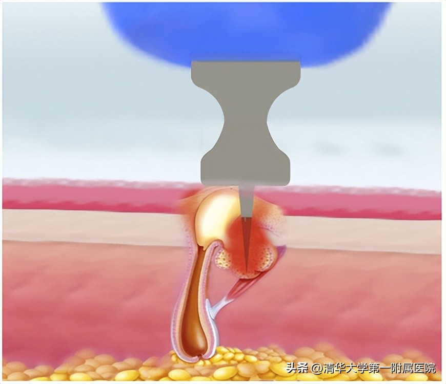 2020一起变美变精致,2020年一起变美