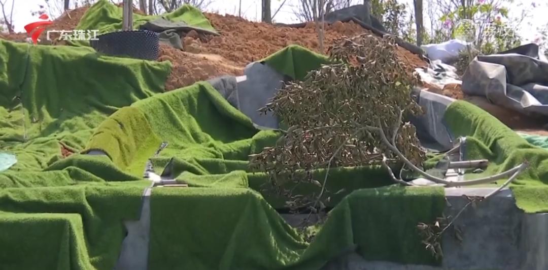 山景房变坟景房可以退房吗,湖景房竟变墓景房