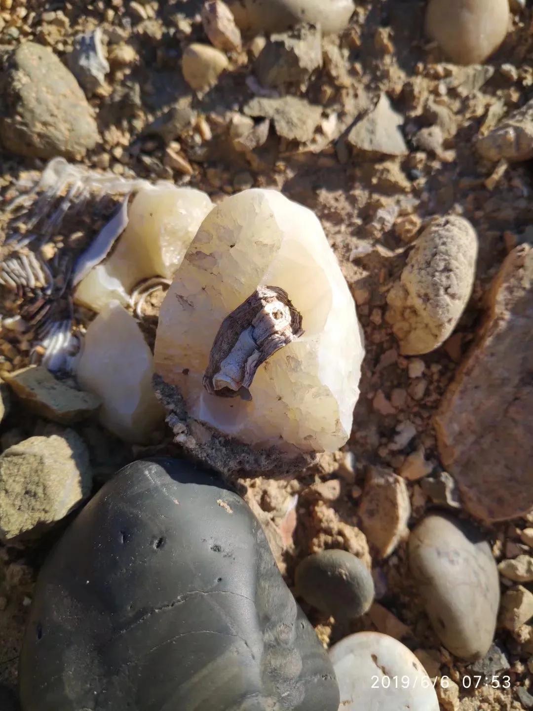 去戈壁捡石头,新疆戈壁捡石头