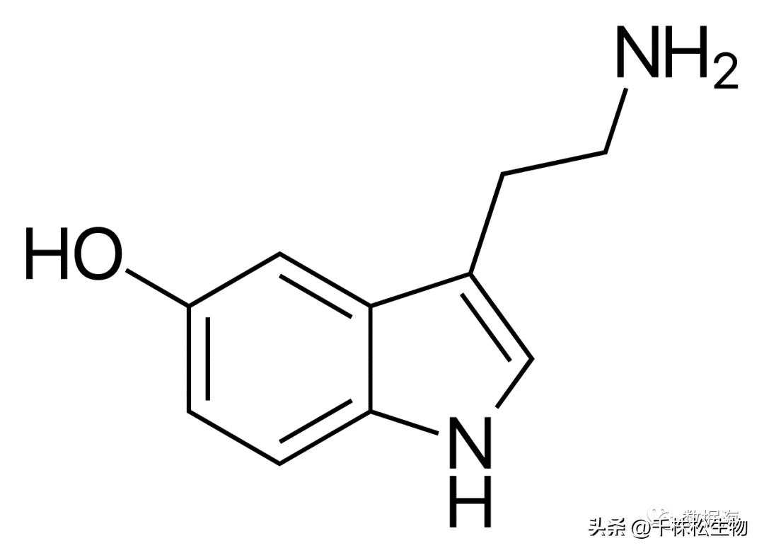 色氨酸是氨基酸,色氨酸和氨基酸的区别