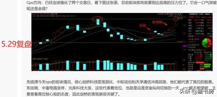 cpo后面会有大行情吗,cpo行情分析