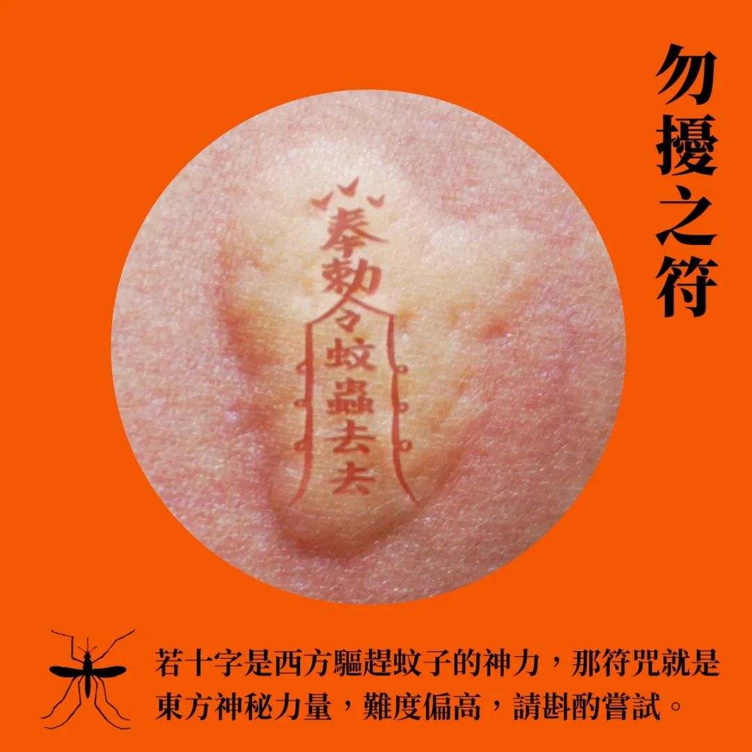 2023才过半，这15张海报已经高分上岸