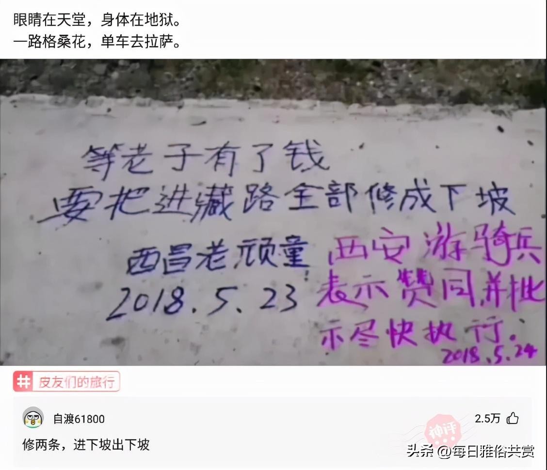 盘点那些“盐选神回复”,盐选神回复