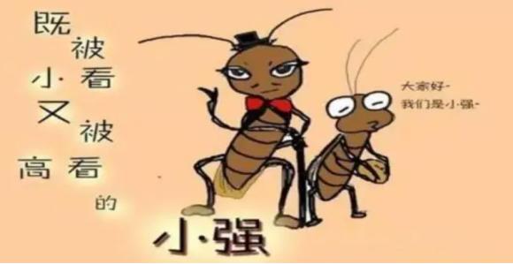 灭蟑螂的方法用什么药最好,消灭蟑螂的药剂