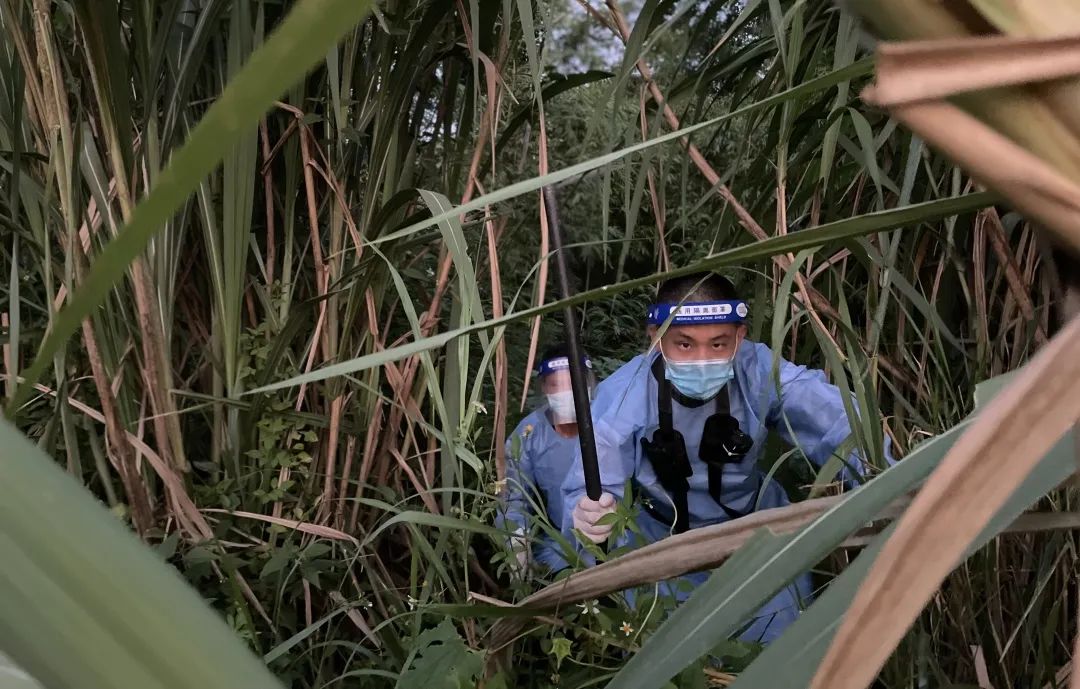 “别动！你手上有条大蜈蚣！”