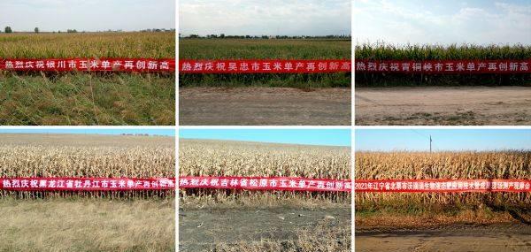 液态肥料优缺点,液体肥料使用方法