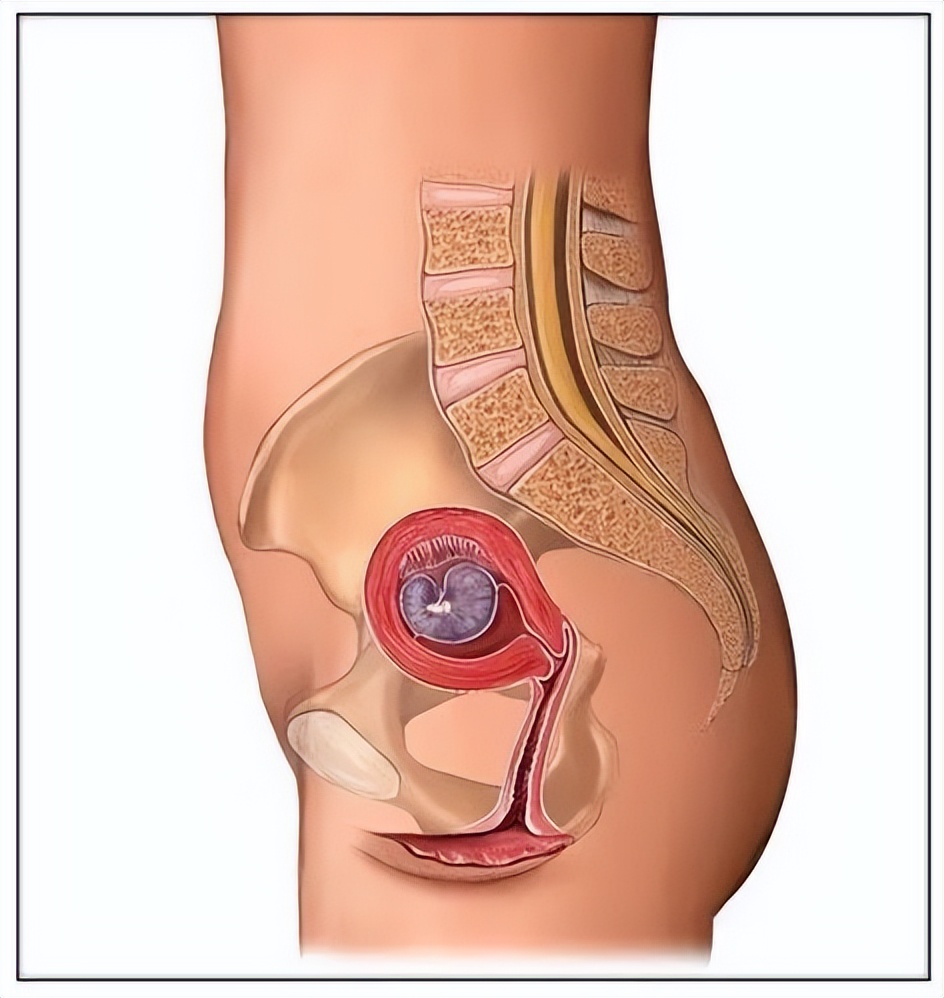 孕妈妈的身体有3种表现,孕妈妈孕早期有哪些症状