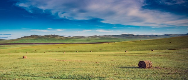 学生在家如何低成本暴富,2017年最有前途的5个赚钱项目