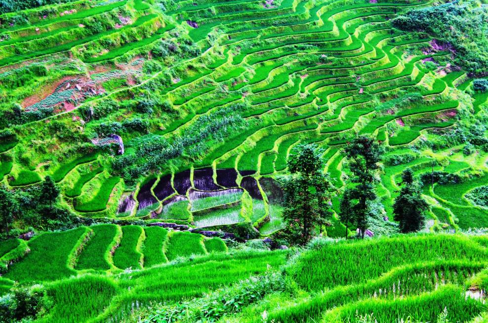 一家企业撑起一座城,一个企业撑起一座城市半边天