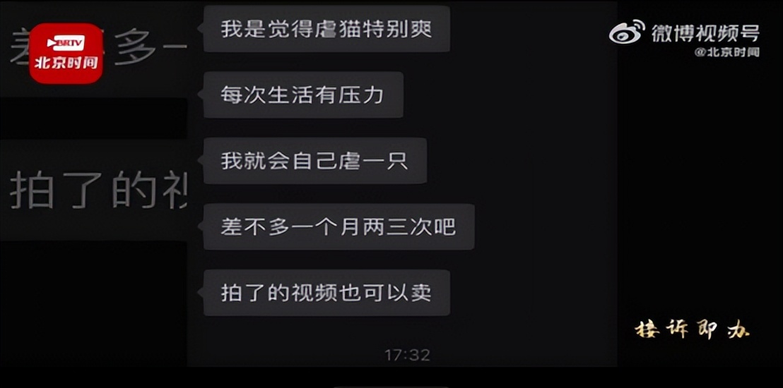 虐猫群体处理,虐猫行为越来越严重