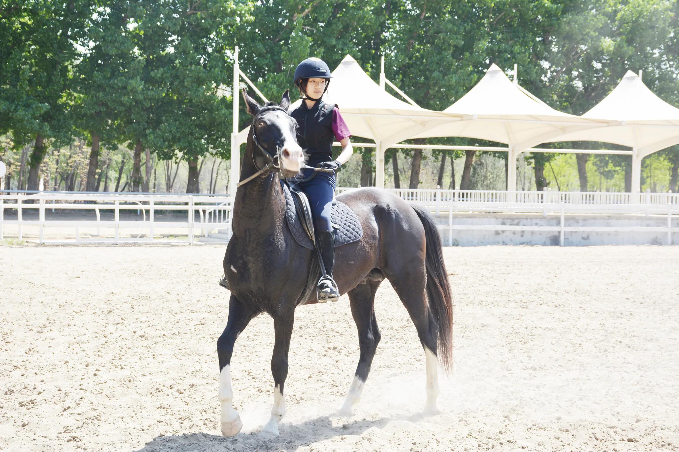 黑利伯瑞国际学校课程,黑利伯瑞国际学校辩论