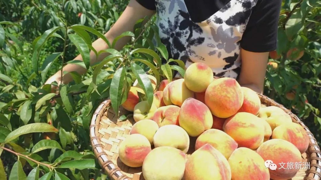 线上逛年货|不私藏了，这份龙丘珍味清单请签收！