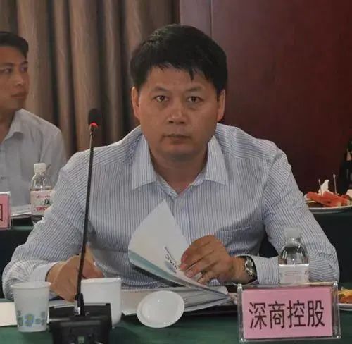 众泰重整和重组区别,众泰复出