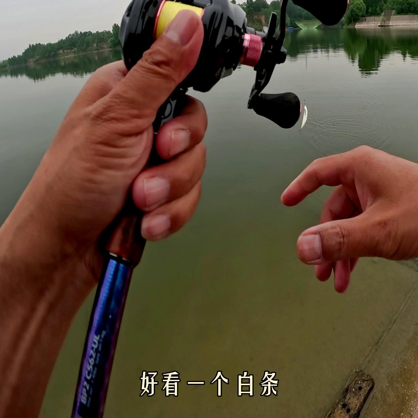 微物路亚跑鱼原因,路亚钓鱼跑鱼是啥原因呢