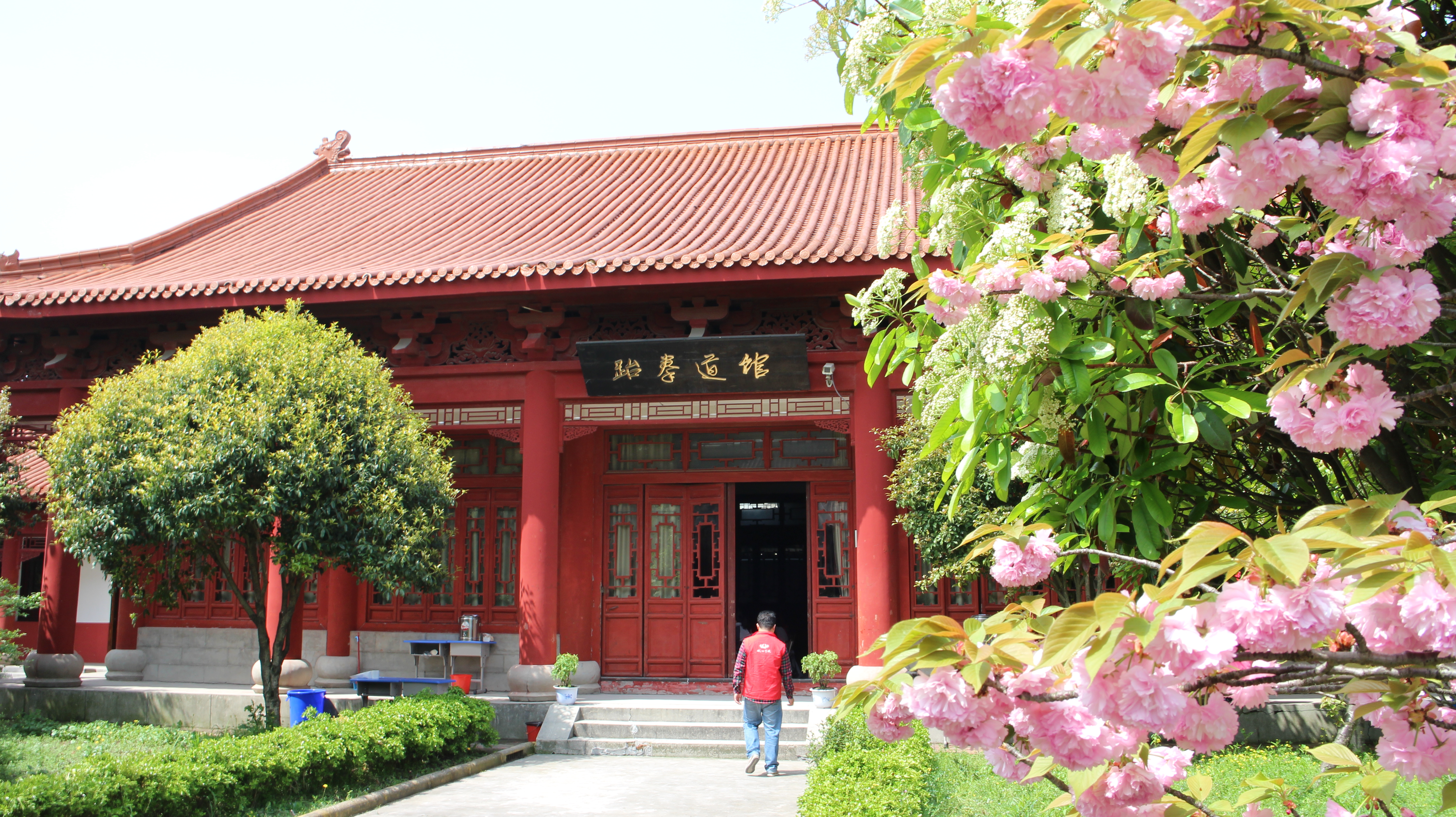 有没有专业武术培训的地方,江桥武术培训