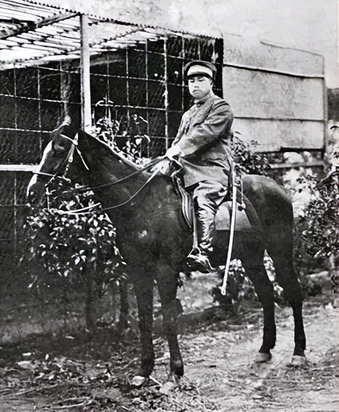 上将军衔什么时候开始的,上将军衔什么时候有的