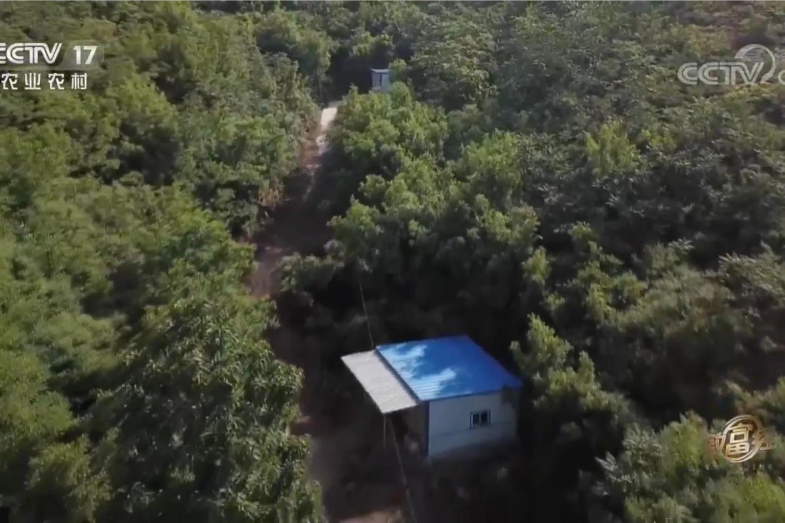 一小伙承包荒山搞养殖年挣百万,河北小伙种100亩地一年赚多少钱