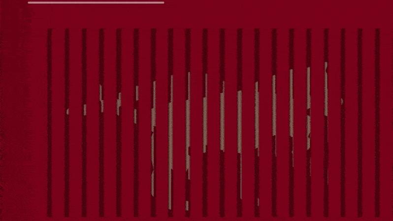 虎年奢侈品红包,奢侈品龙年红包