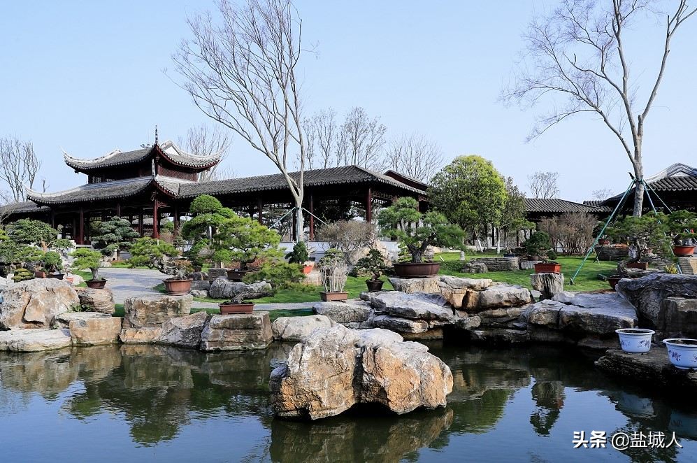 盐城世外桃源景区,盐城正在开发建设的古镇景区