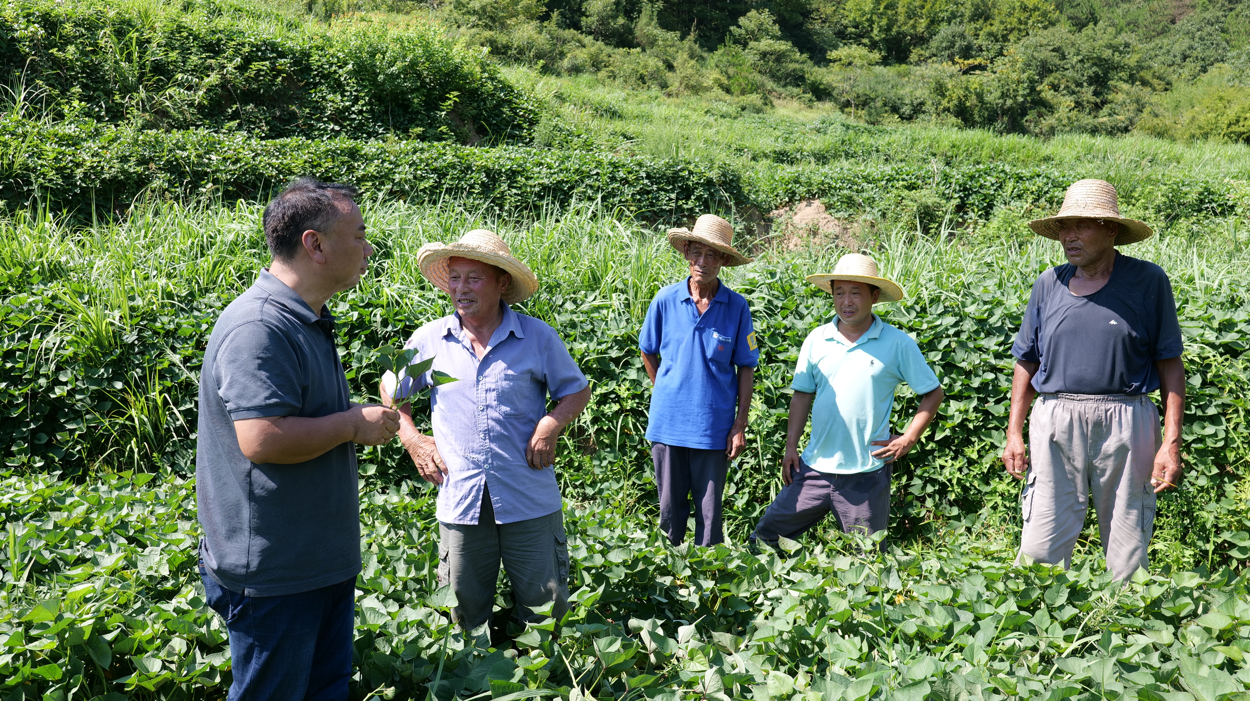 首席乡村商学堂结营二期招生启动,乡村商学堂
