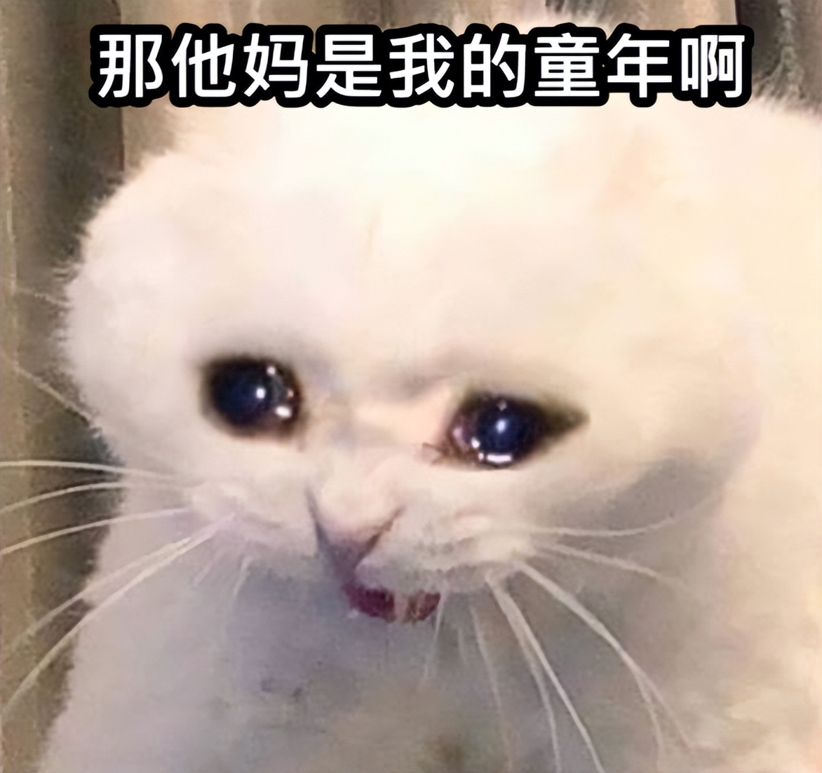 qq堂为什么会停服,为什么官方不更新qq堂了