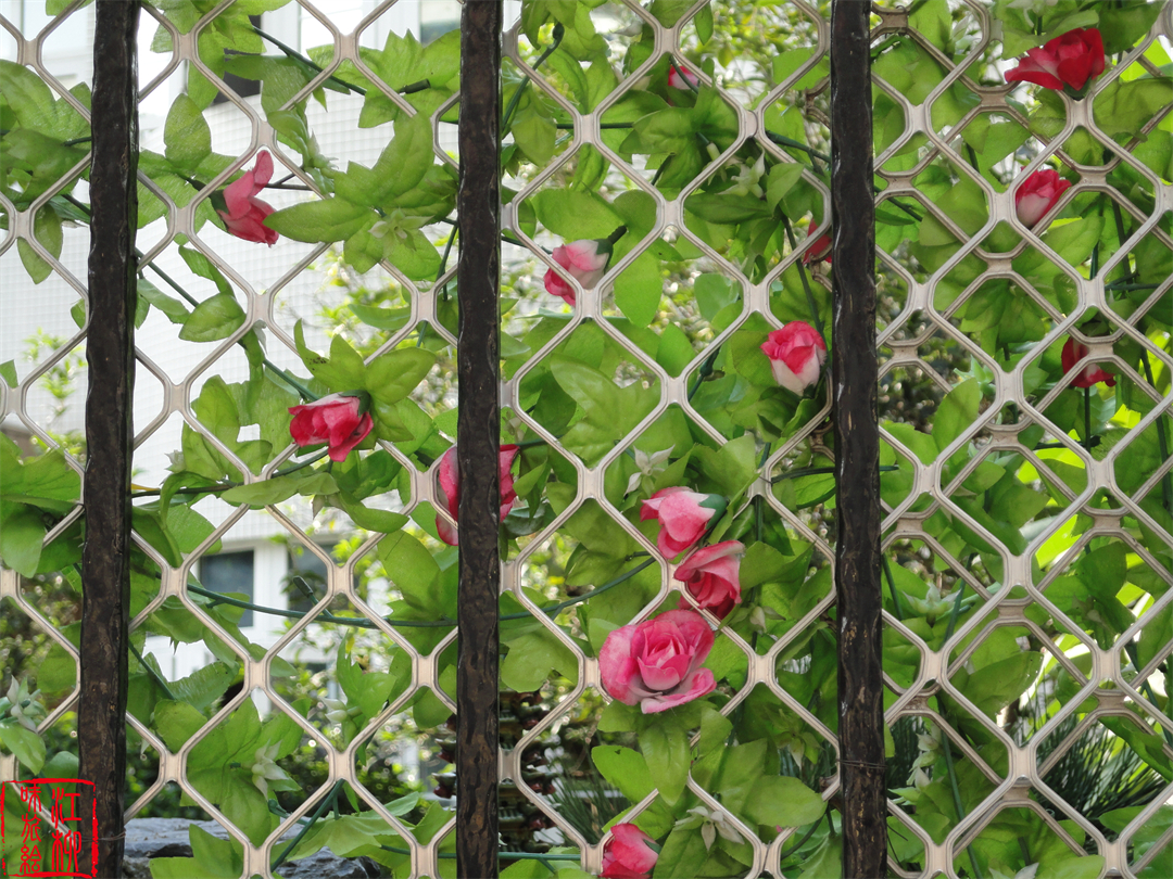 广州华侨新村以前是什么人住,广州华侨新村真实生活