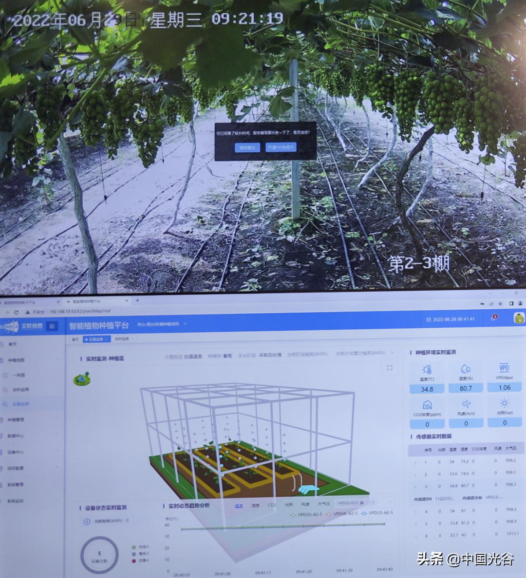 光谷企业研发“植物工厂”,用LED灯当“太阳”,可实现“外星种菜”,去年收入过亿