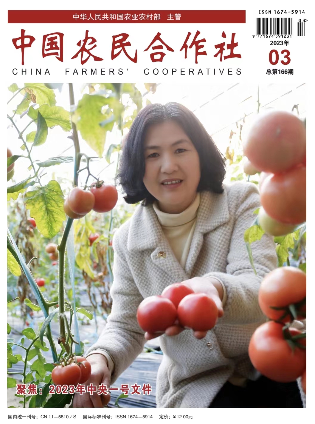 合作社家庭农场如何助力乡村振兴,扶持农村合作社的重要作用