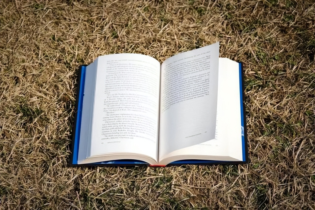 钉考单招官网,各校单招题库复习用什么app