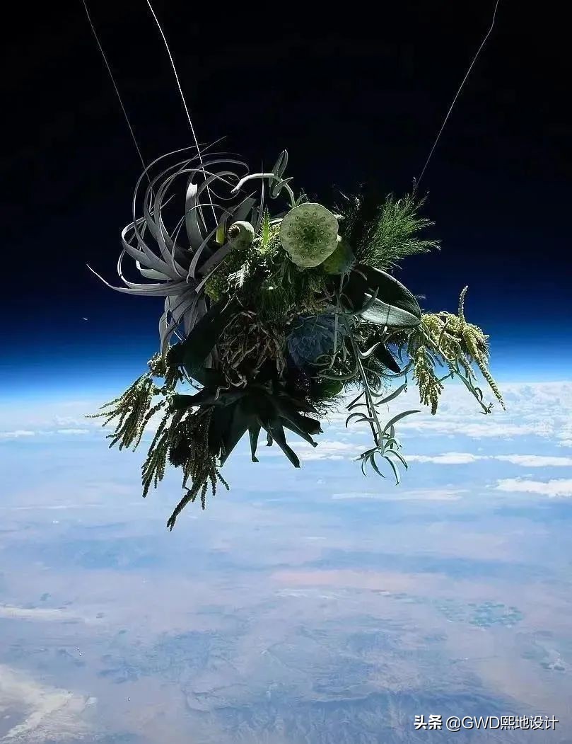 「设计篇」这些艺术家的脑洞，地球都容不下了…