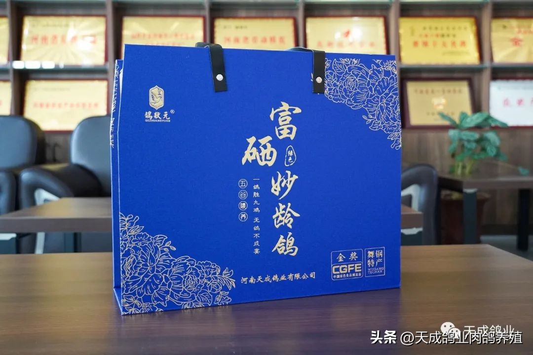 天成鸽业的现状,天成鸽业信鸽