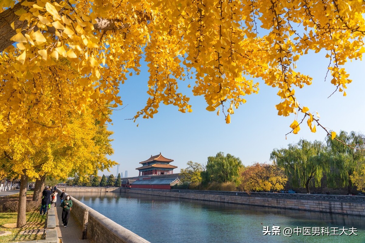 为什么男人得前列腺炎能自愈,男的炎症反反复复怎么根治