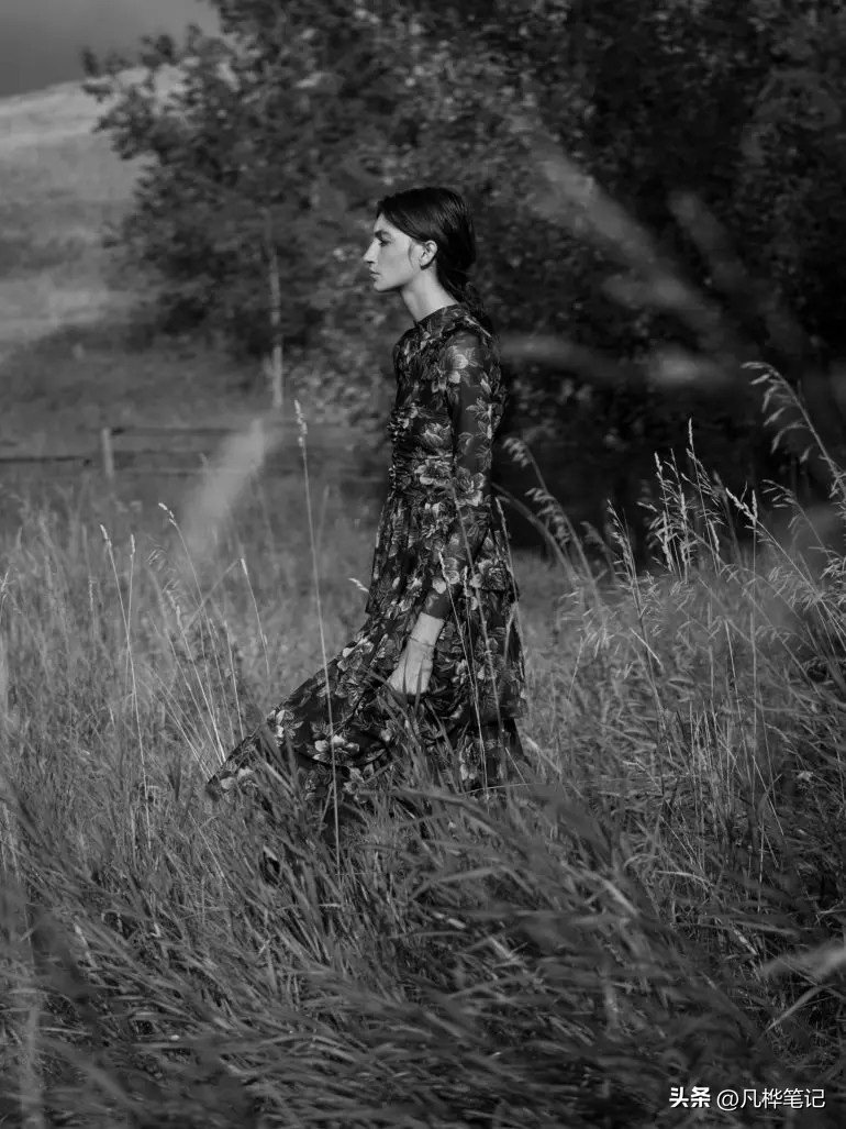 哈苏x2d100c视频,哈苏x2d100c与50c区别