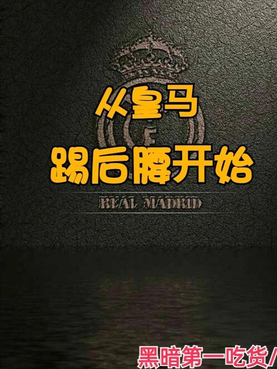 禁区之狐小说完整版,禁区之狐免费小说阅读