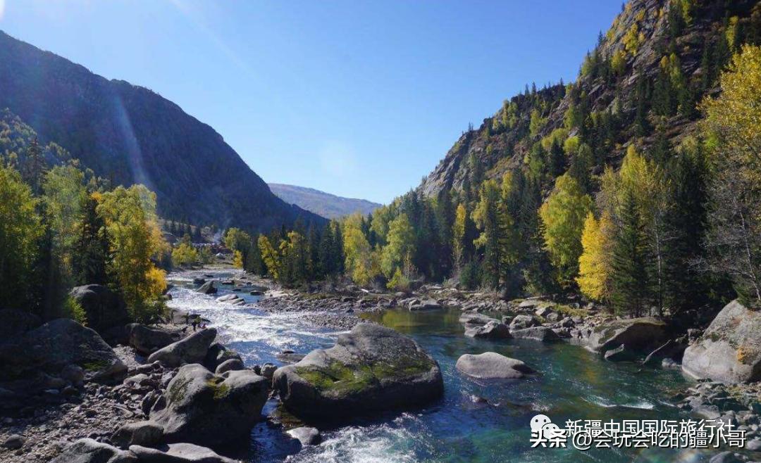 家庭出游7座车,家庭旅游8座车