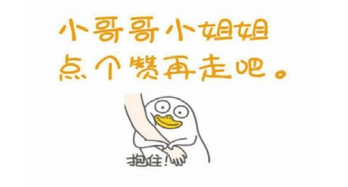 比熊犬的各种动作表示什么,比熊犬的优缺点及性格特点是什么