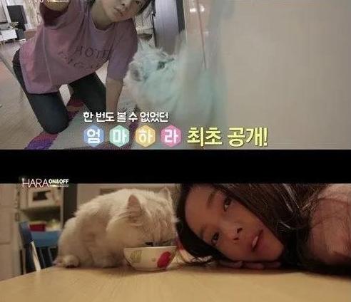 具荷拉尸检找到了吗,具荷拉灵堂现状