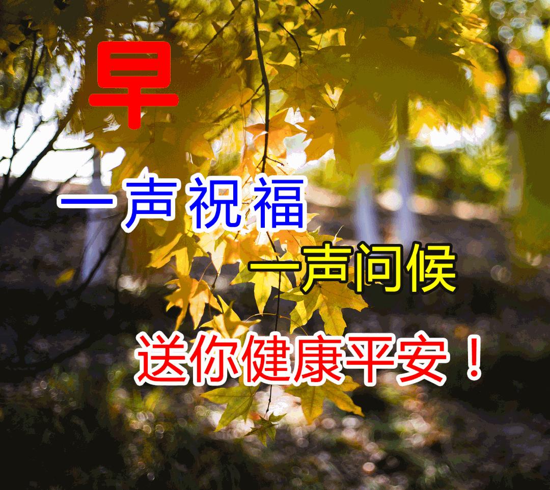 周末早安最漂亮问候图片带字,周三早安正能量图片带字