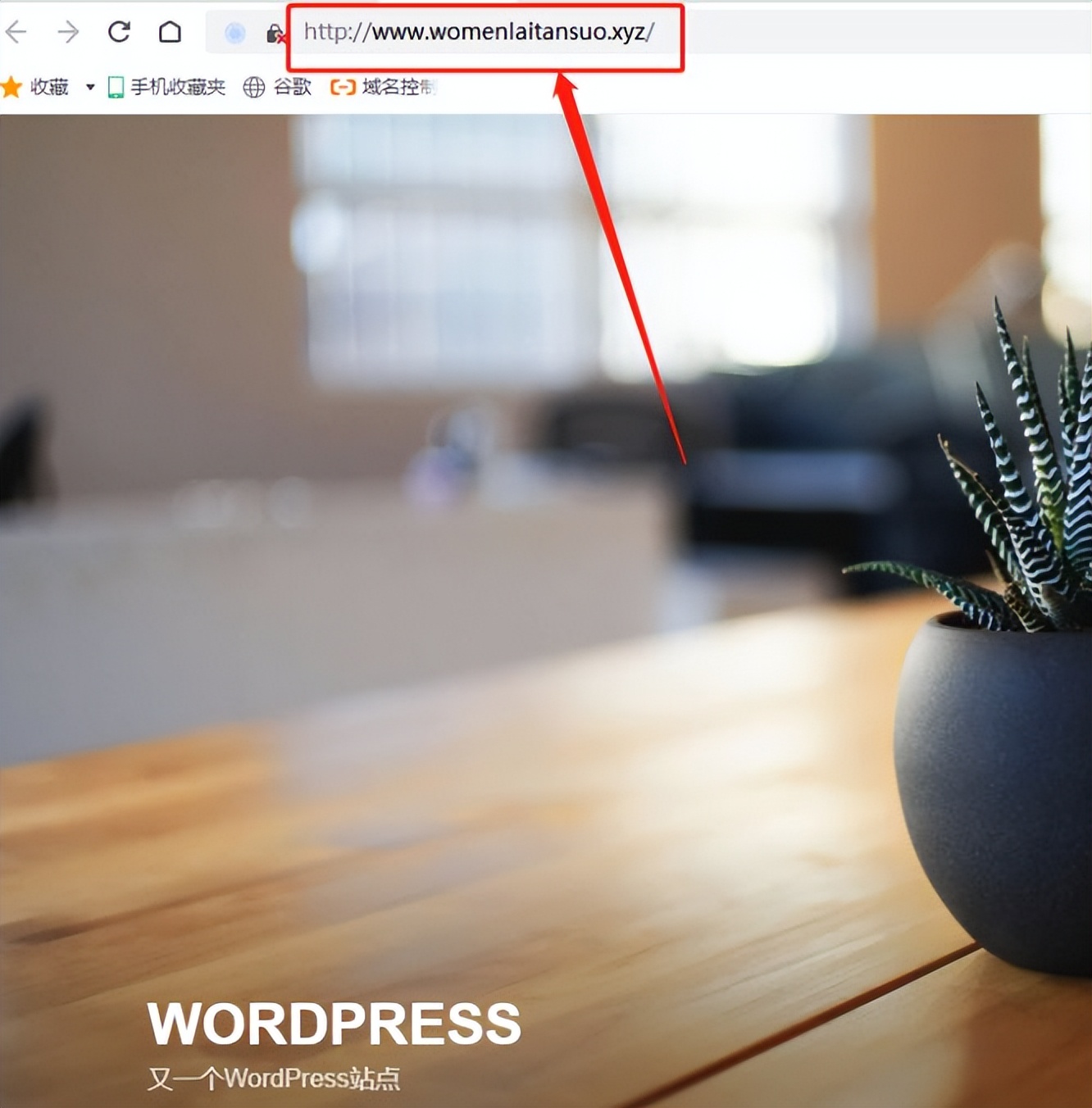 cpolar在群晖上怎么用,群晖centos7网络配置
