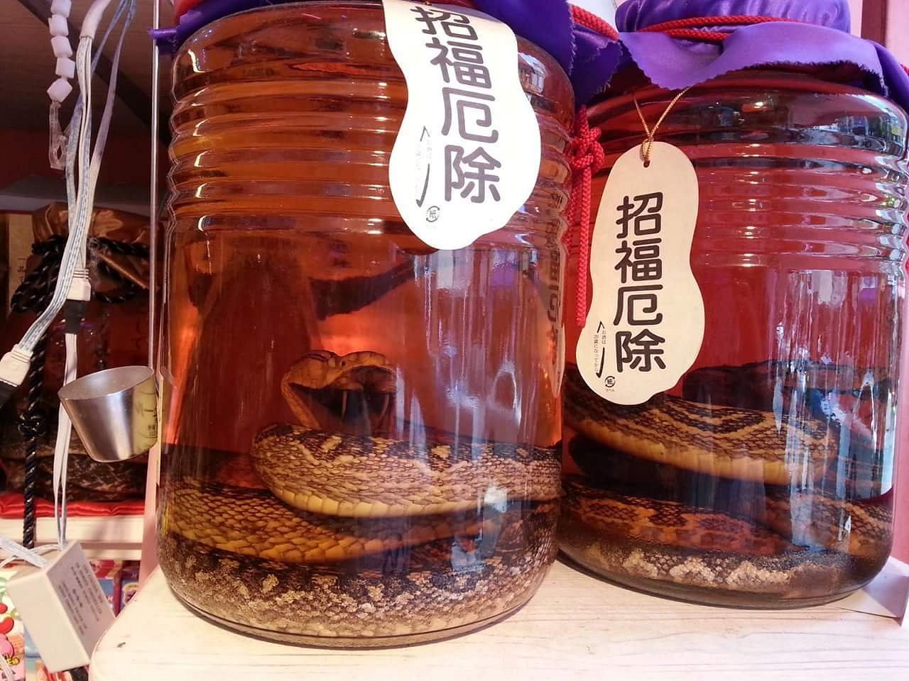 琉球群岛现状带你看看真实的琉球,琉球状况