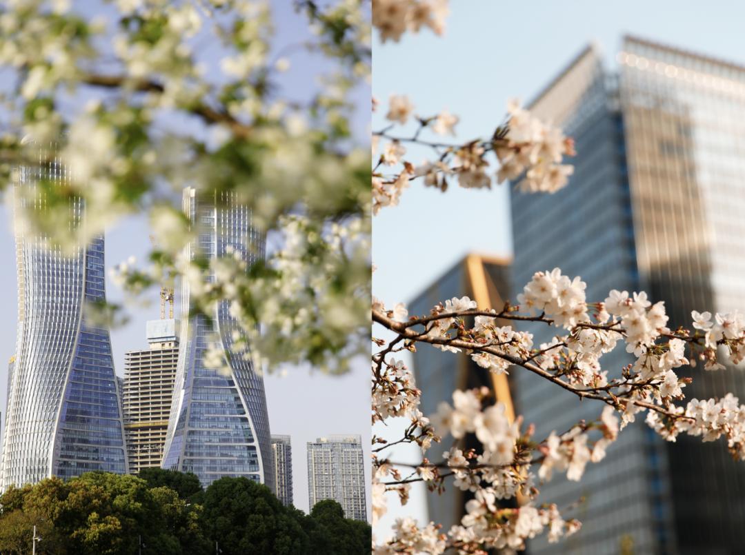 听我的，四月的杭州才是浪漫天花板。