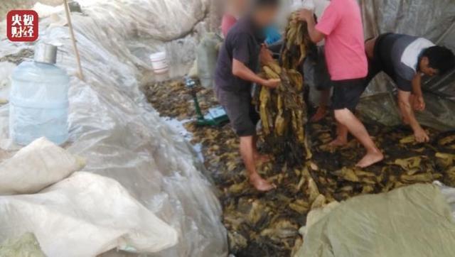 国货真的没有外国的货好用吗,国货在国外有多火