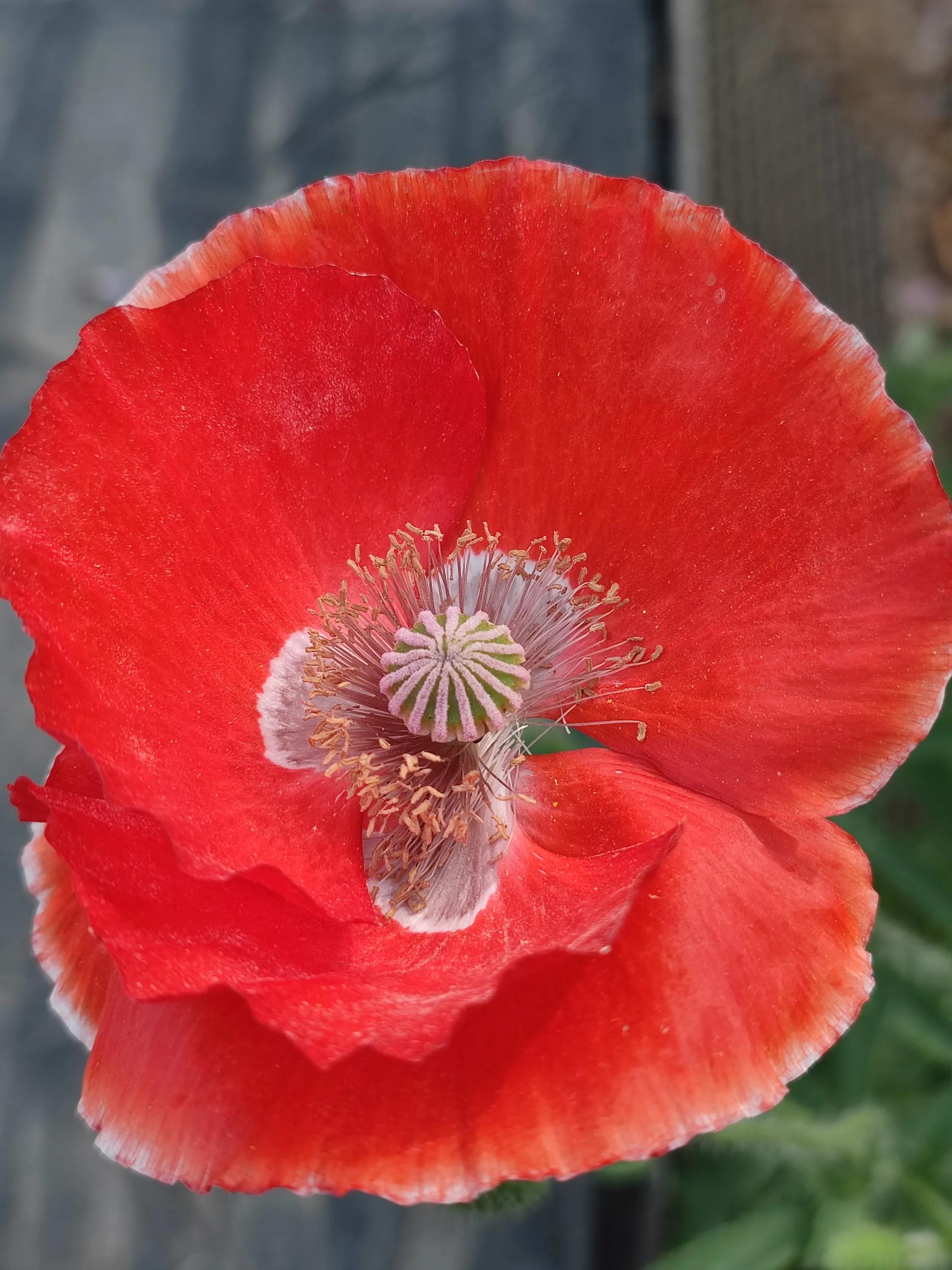 优秀作文我的一天,特别好的优秀作文