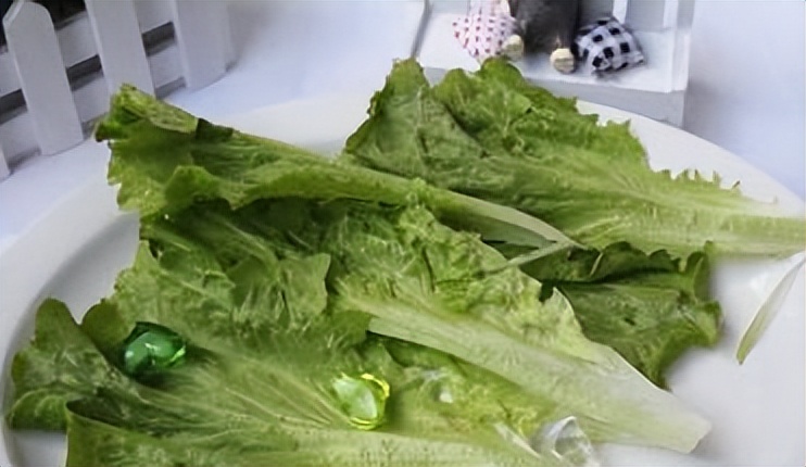 菠菜生菜西红柿哪一种是蔬菜之王,西红柿和哪些蔬菜不能吃