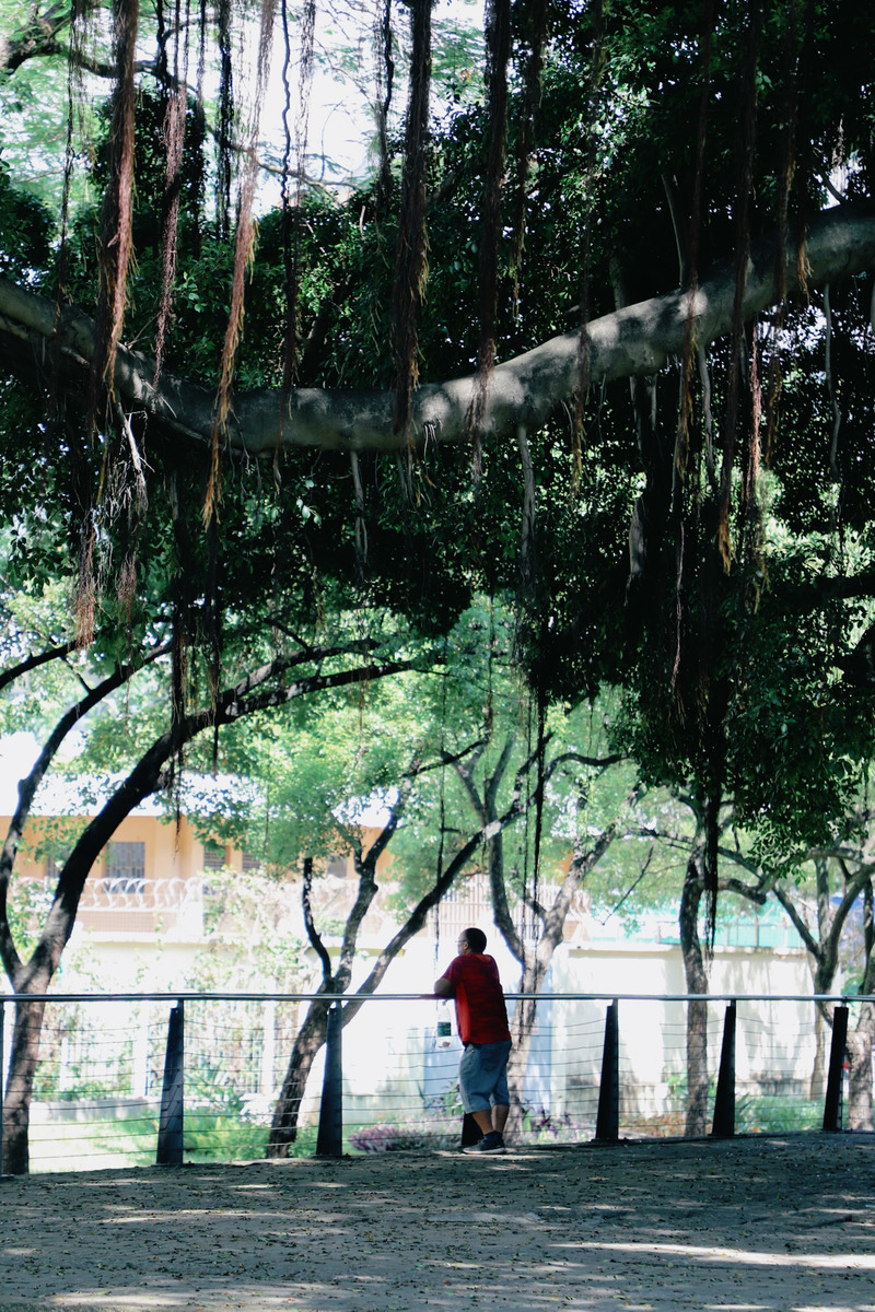 深圳市蛇口攻略,深圳海岛蛇口