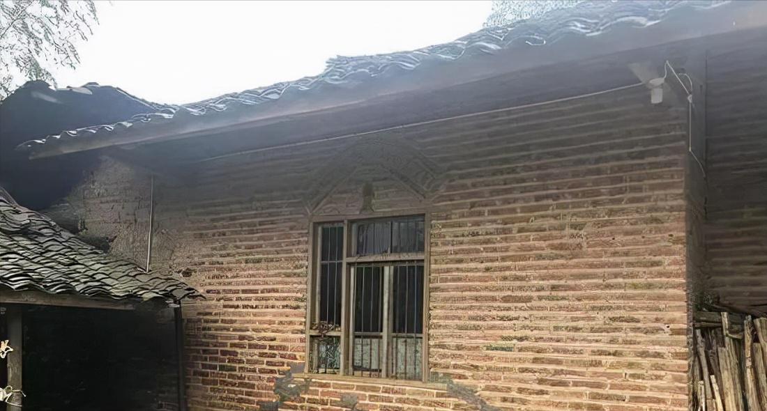 在国外乞讨的四川小伙,四川小伙在巴西回国